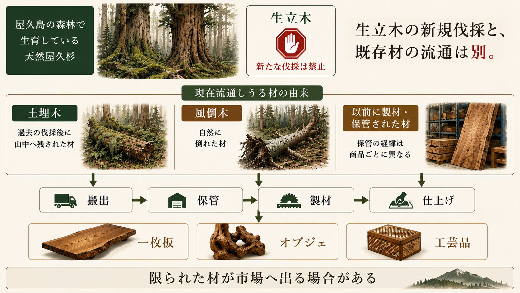 新たな生立木を伐採せず、土埋木や風倒木などが市場へ流通する仕組みを示した図