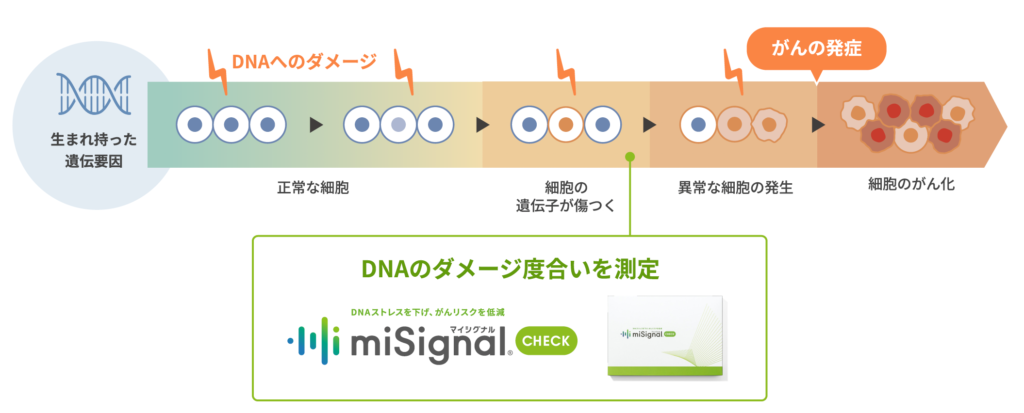 新発想！がんの予防につながる手軽な検査、新製品「マイシグナル