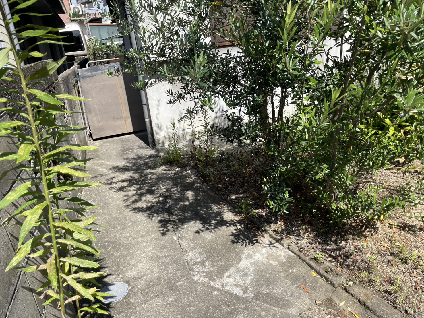 木太町土地の画像5