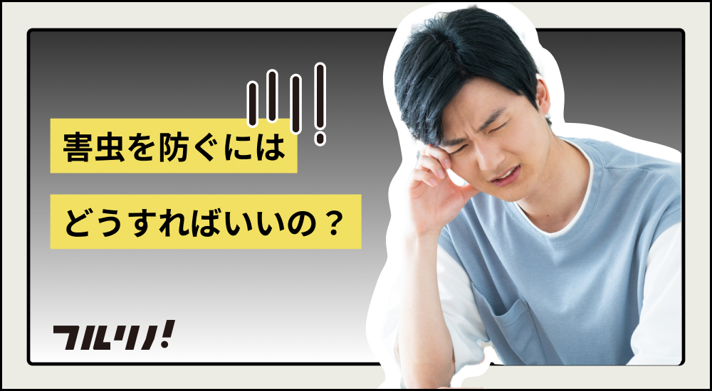 リノベーションを施した賃貸物件でできる3つの害虫対策