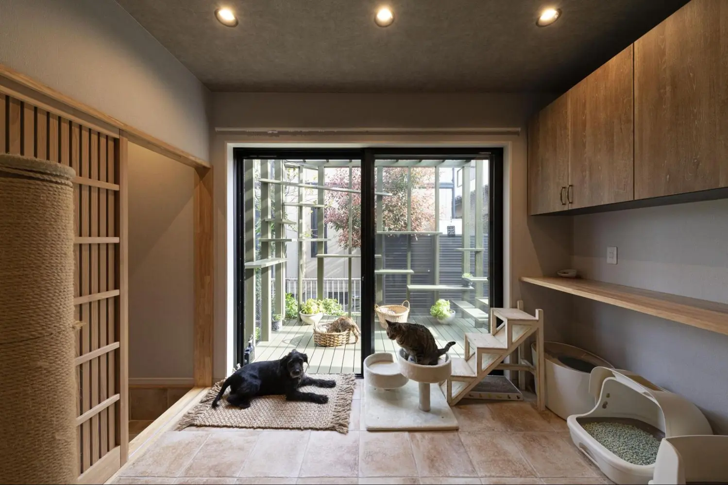犬と猫のためのタイル張りの部屋。黒い犬が敷物の上でくつろぎ、猫が木製のキャットステップに乗っている。奥の窓は屋外のキャティオに続いている。