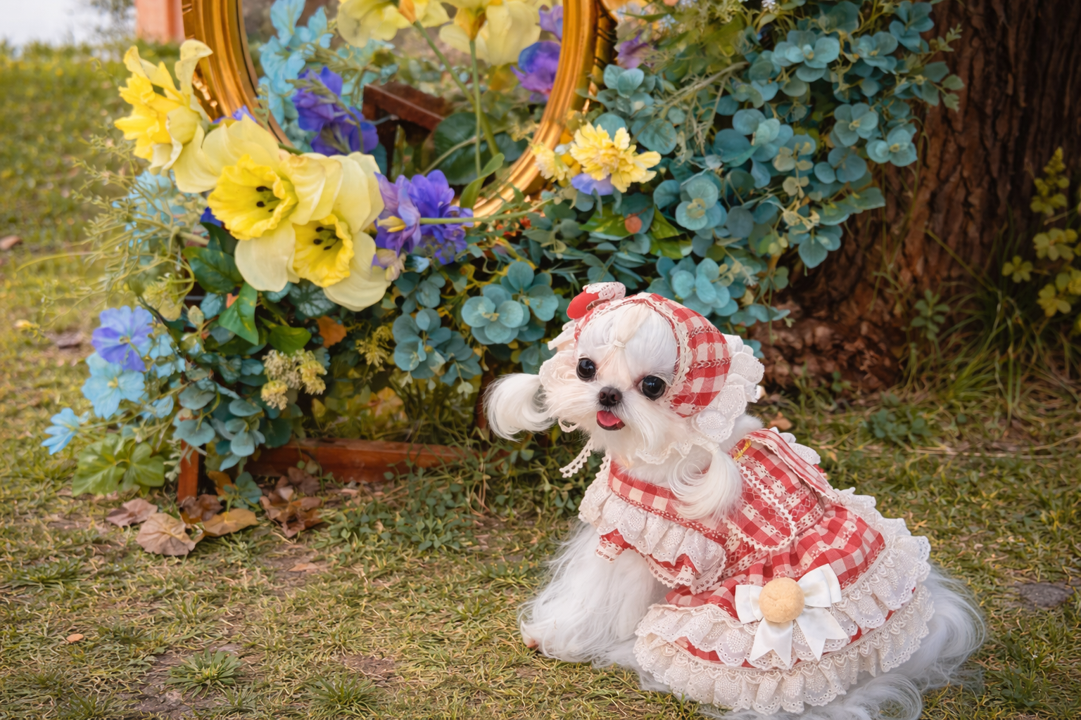 ベリーベリーウサギ♡いちご狩りドレス