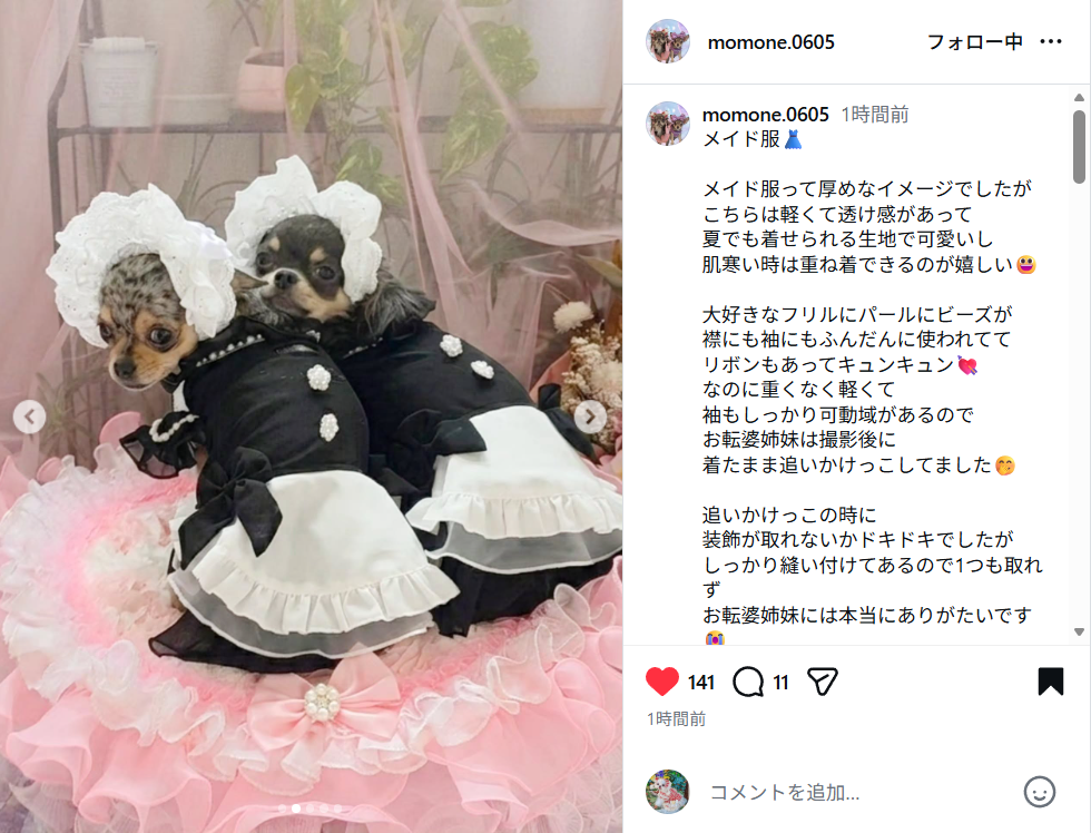 フリル・パール・ビーズたっぷり💕新米メイド服が話題に