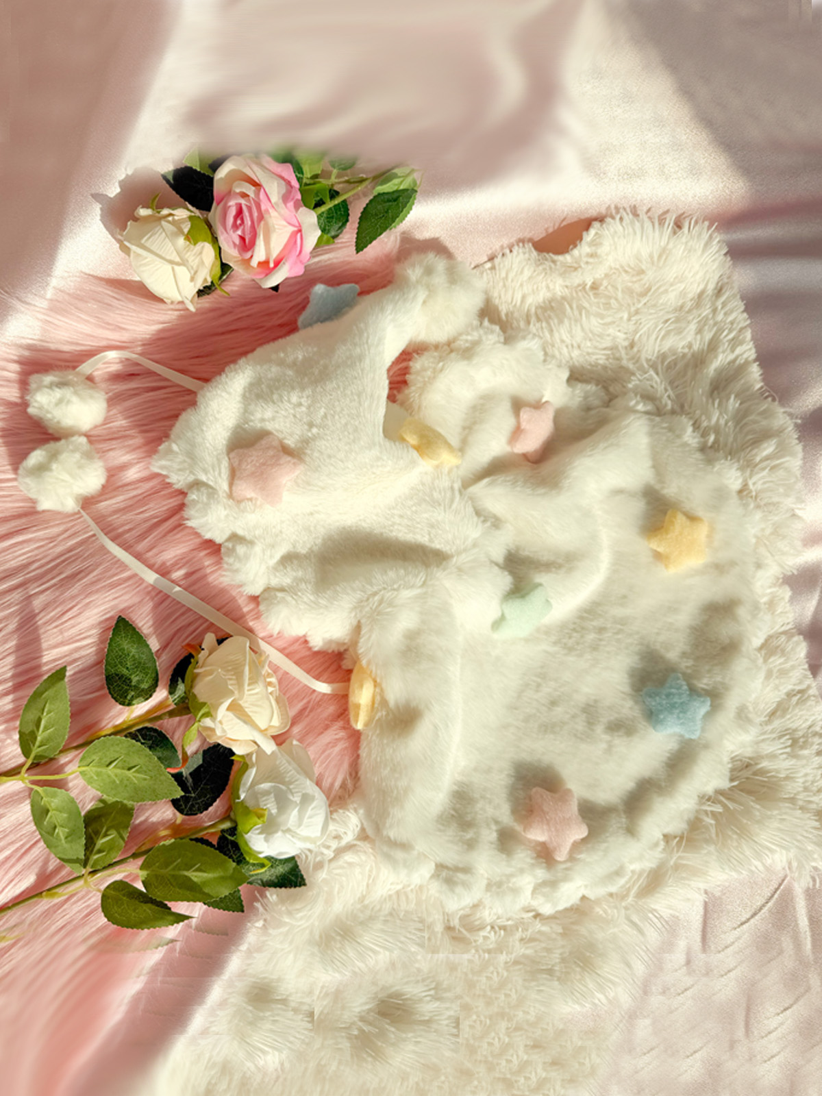 なぜ犬服には、人間のような"複雑な美しさ"がないのか?見せたくなる犬服を。スターマントに込めた想い