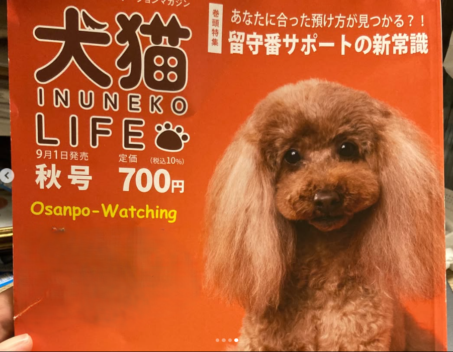 雑誌「犬猫LIFE 2026年秋号」に Fancy Petit Honeyのコラムと、撮影イベントの様子を掲載頂きました