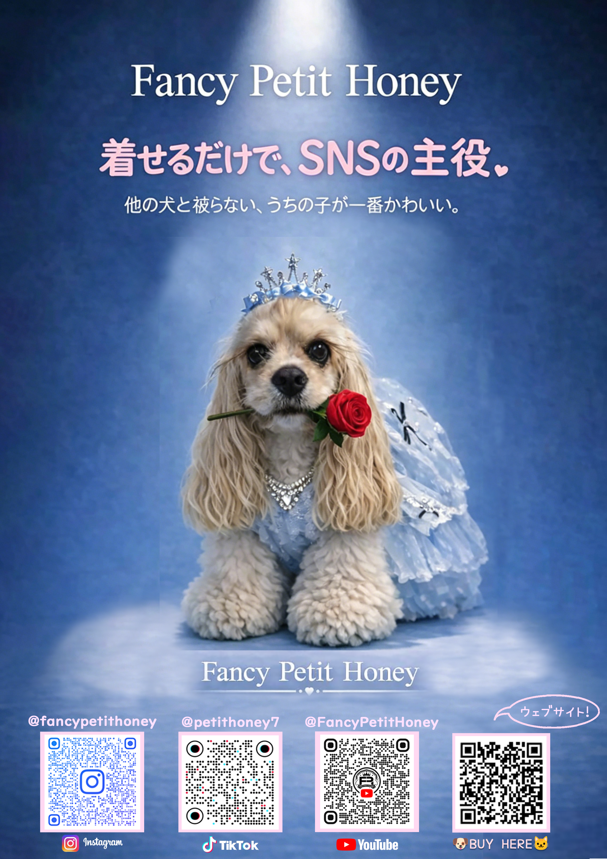 🎀 5月31日 撮影会のお知らせ 🎀