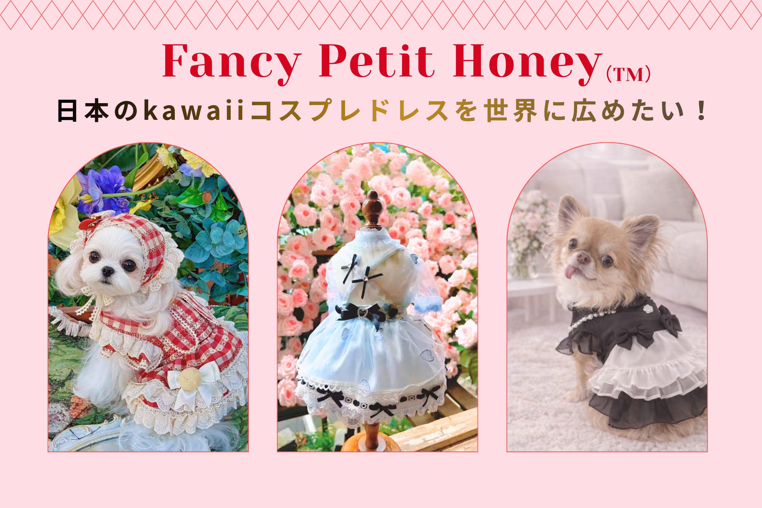 NEWS！4月22日12時にCampfireに掲載頂きました！