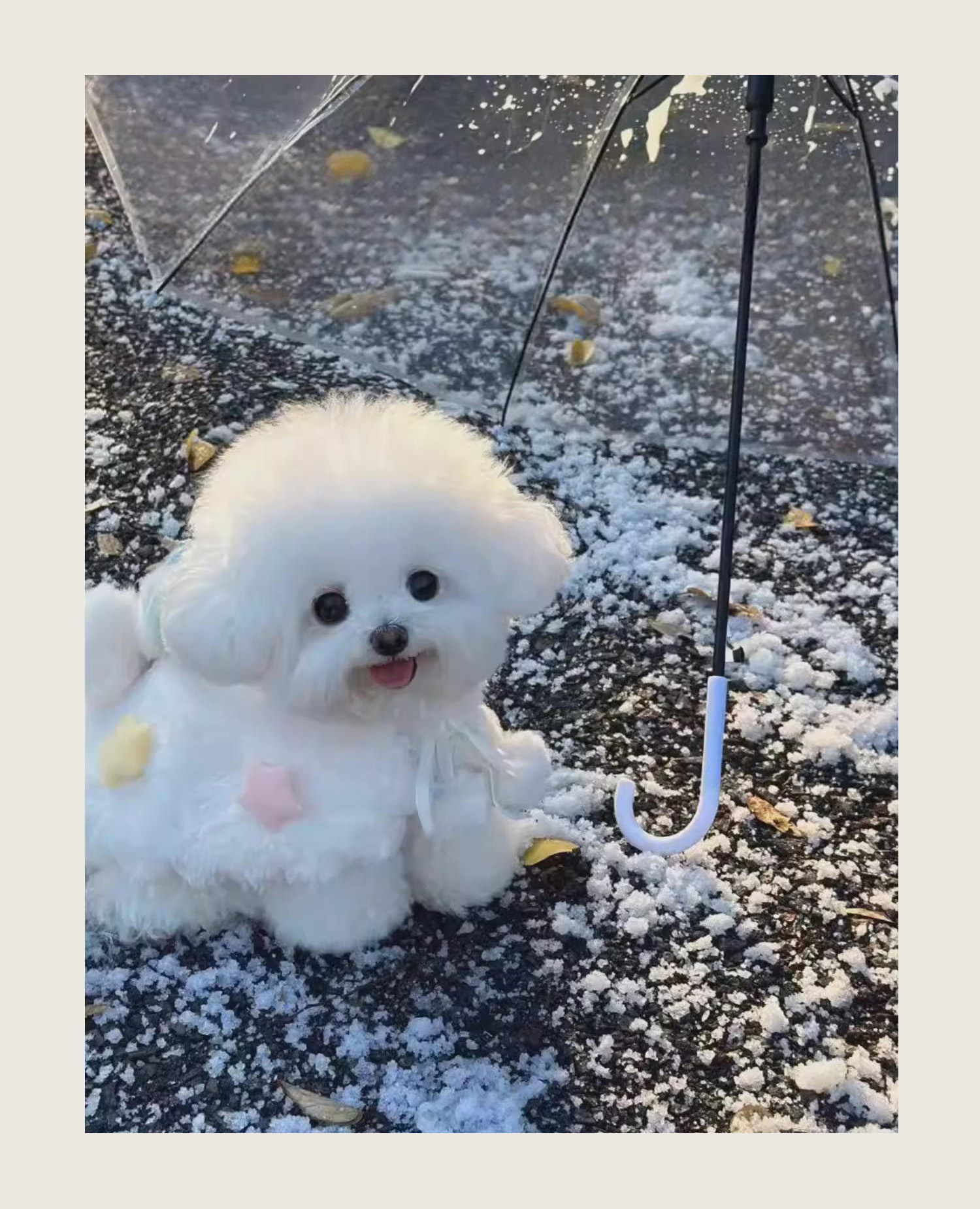 人気インフルエンサー・イヴさん(@eve.meru)とのコラボレーションが決定♡詳細は近日公開予定です！