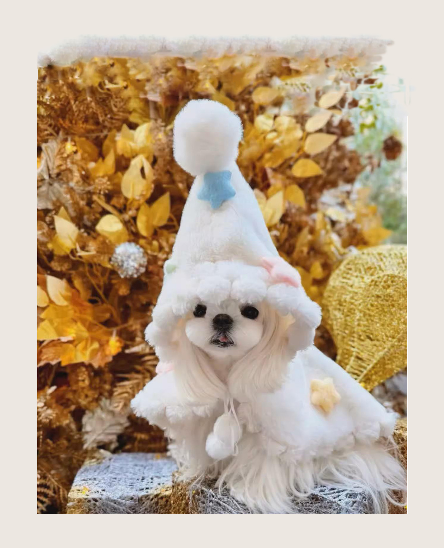 ♡人気インフルエンサー・めいみいまるちゃんとコラボ決定♡スターマント着用企画スタート♡