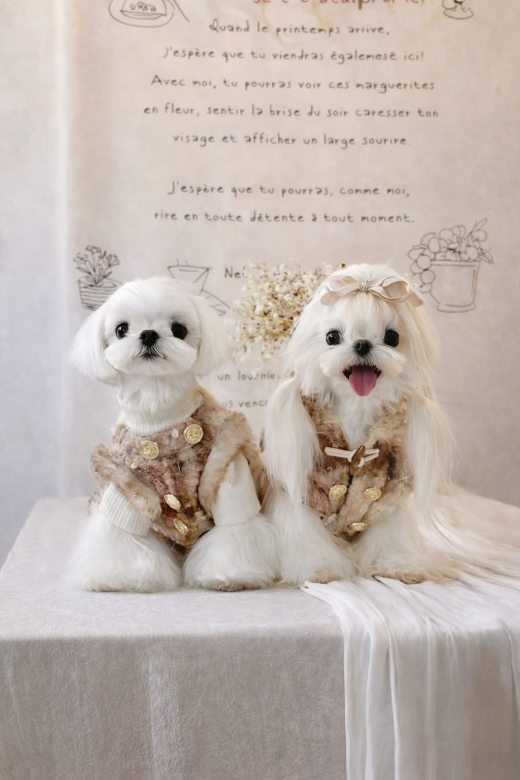 英国学院風ツイードコート