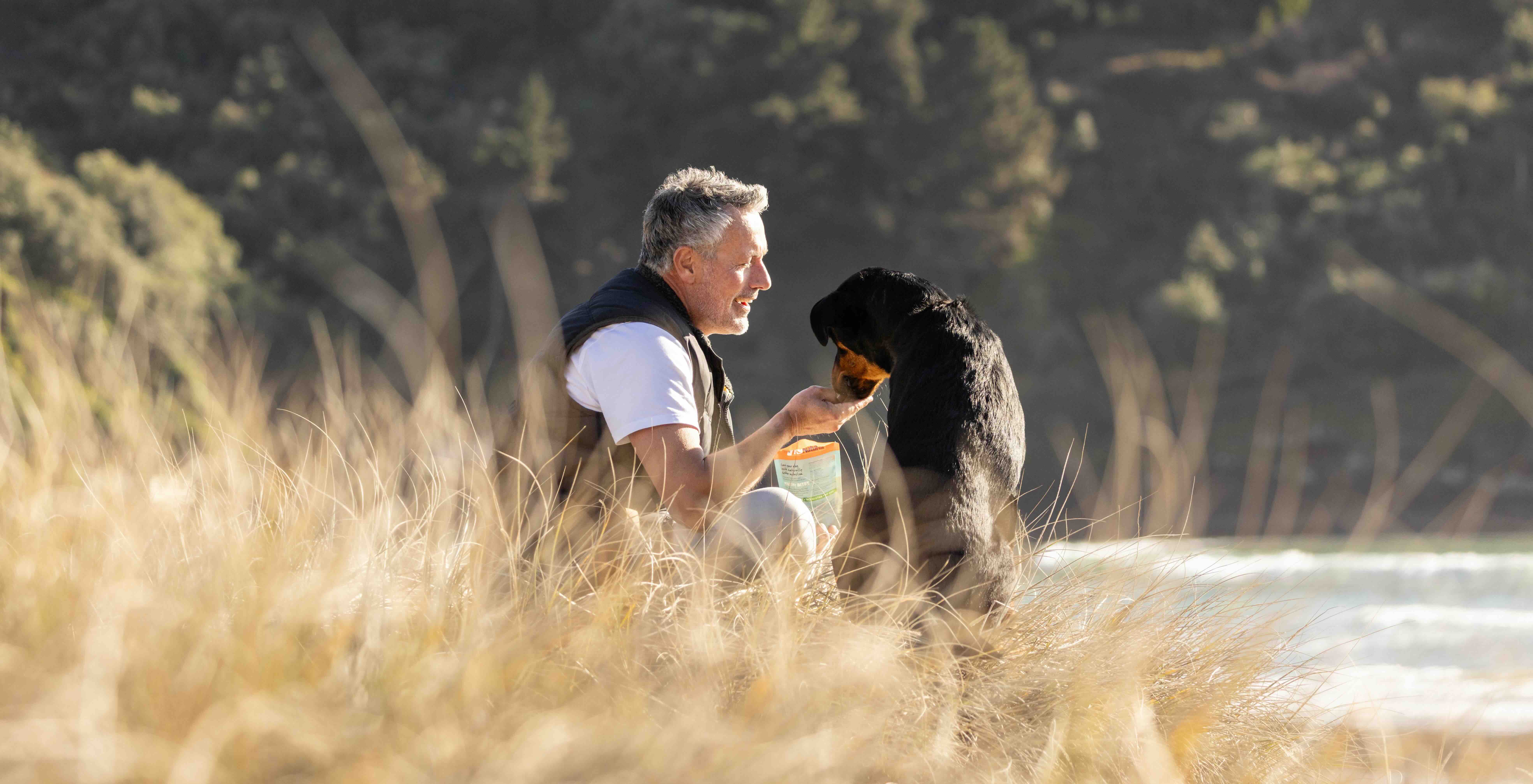 テストテストテスト