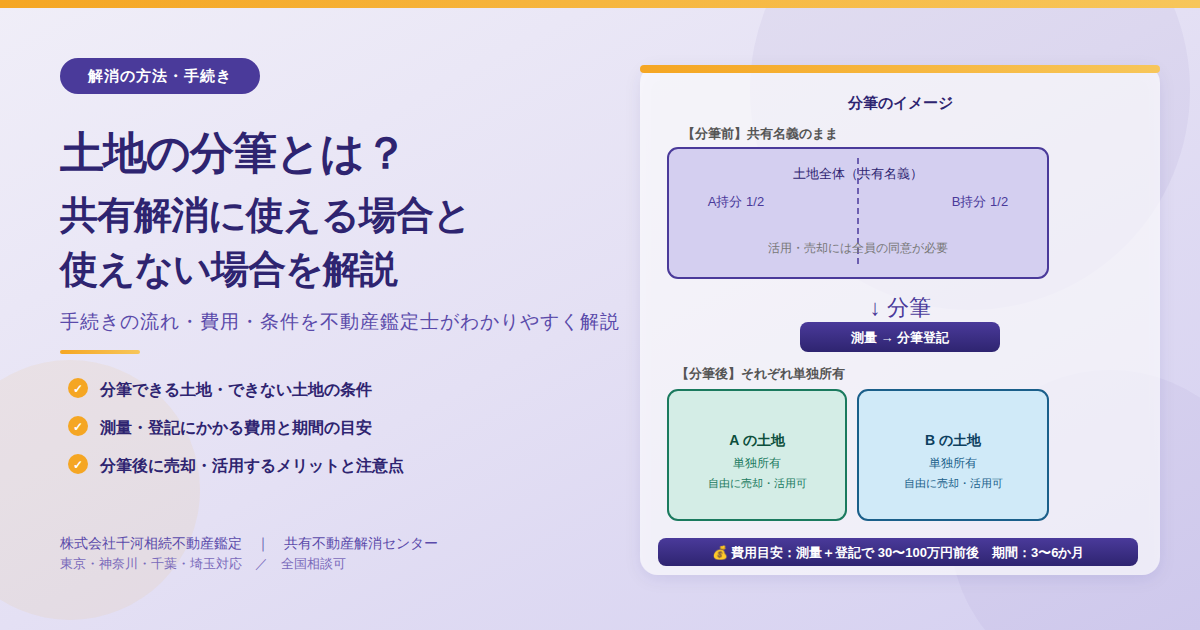 土地の分筆とは？共有解消に使える場合と使えない場合を不動産鑑定士が解説