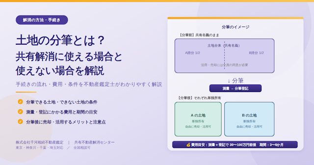 土地の分筆とは？共有解消に使える場合と使えない場合を不動産鑑定士が解説