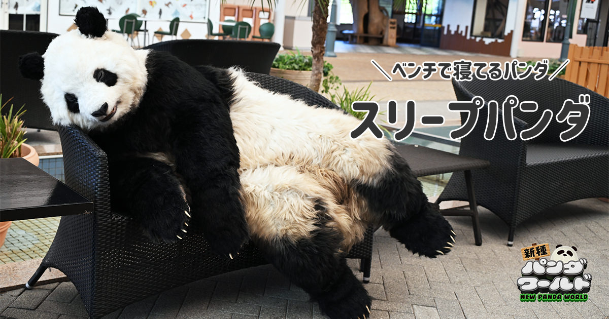 スリープパンダ | 新種パンダワールド - アドベンチャーワールド