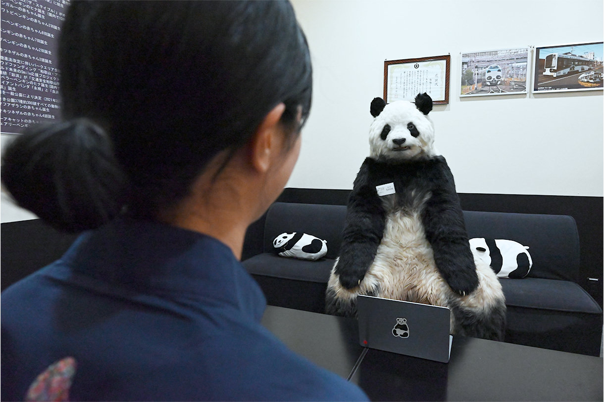 パンダ社員 | 新種パンダワールド - アドベンチャーワールド