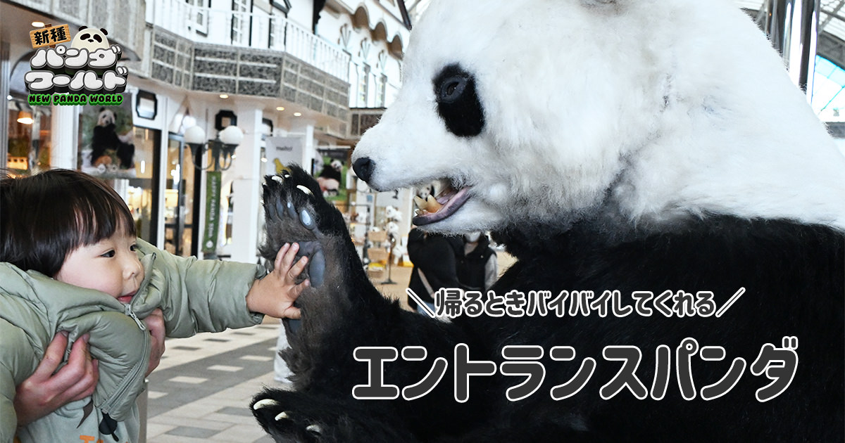 エントランスパンダ | 新種パンダワールド - アドベンチャーワールド
