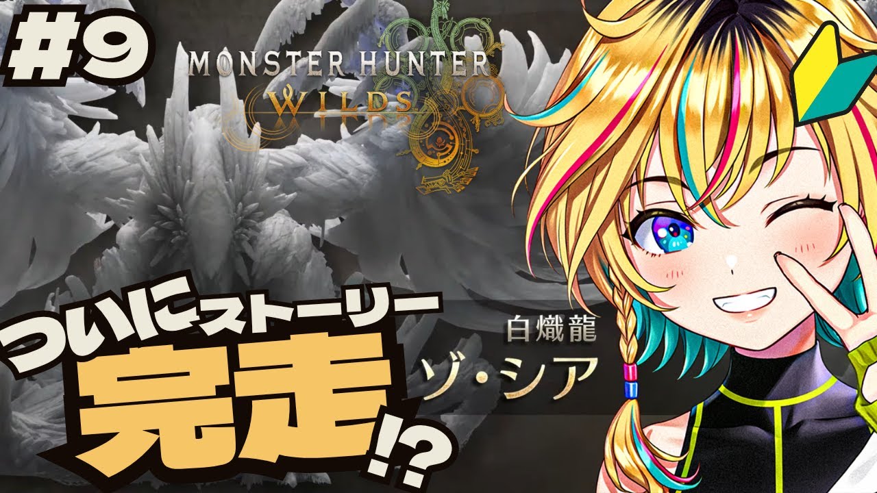 ★【未使用】ヴイアラ 法被 サラ・レトラ・オリヴェイラ・ウタガワ サラ・レトラ・オリヴェイラ・ウタガワ (さられとらおりゔぇいら