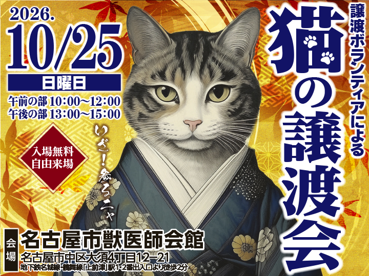 2026年10月25日（日）猫の譲渡会。午前10時～12時・午後13時～15時、名古屋市獣医師会館、入場無料・自由来場。