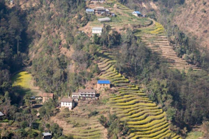 ネパールのコーヒー畑がある風景
