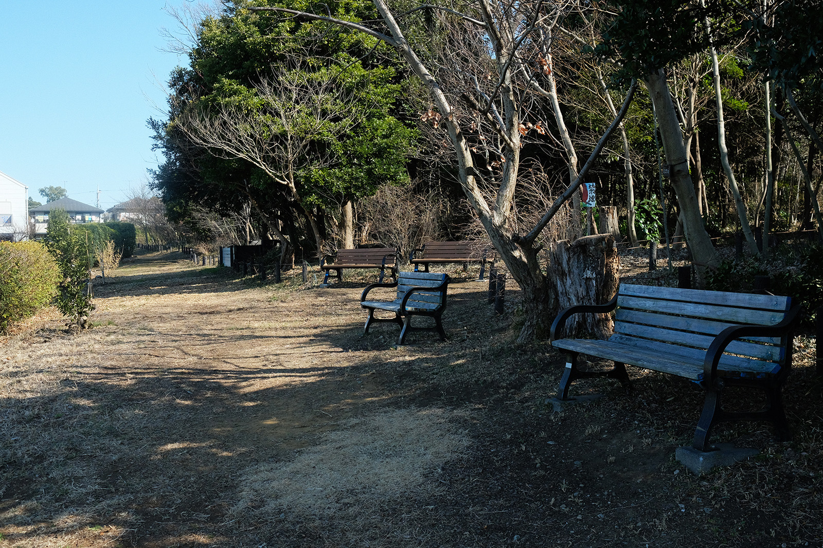 中田宮の台市民の森 