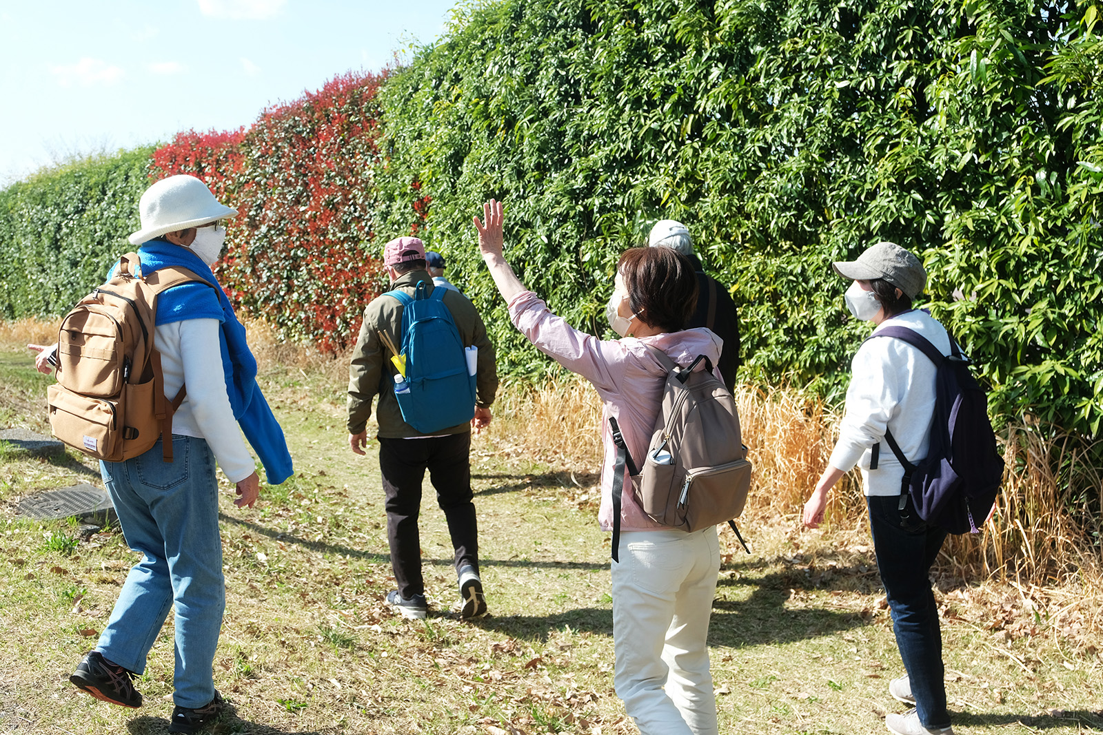 緑道や公園を歩く