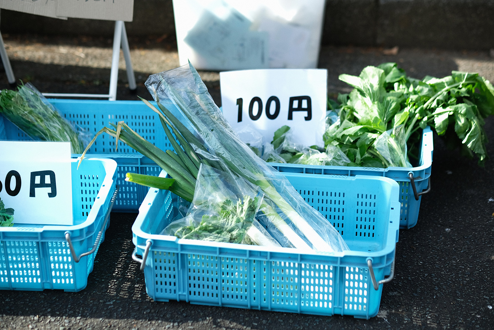 「スコップ上飯田」の泉区で採れた野菜