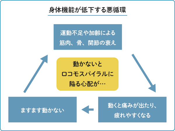 身体機能が低下する悪循環