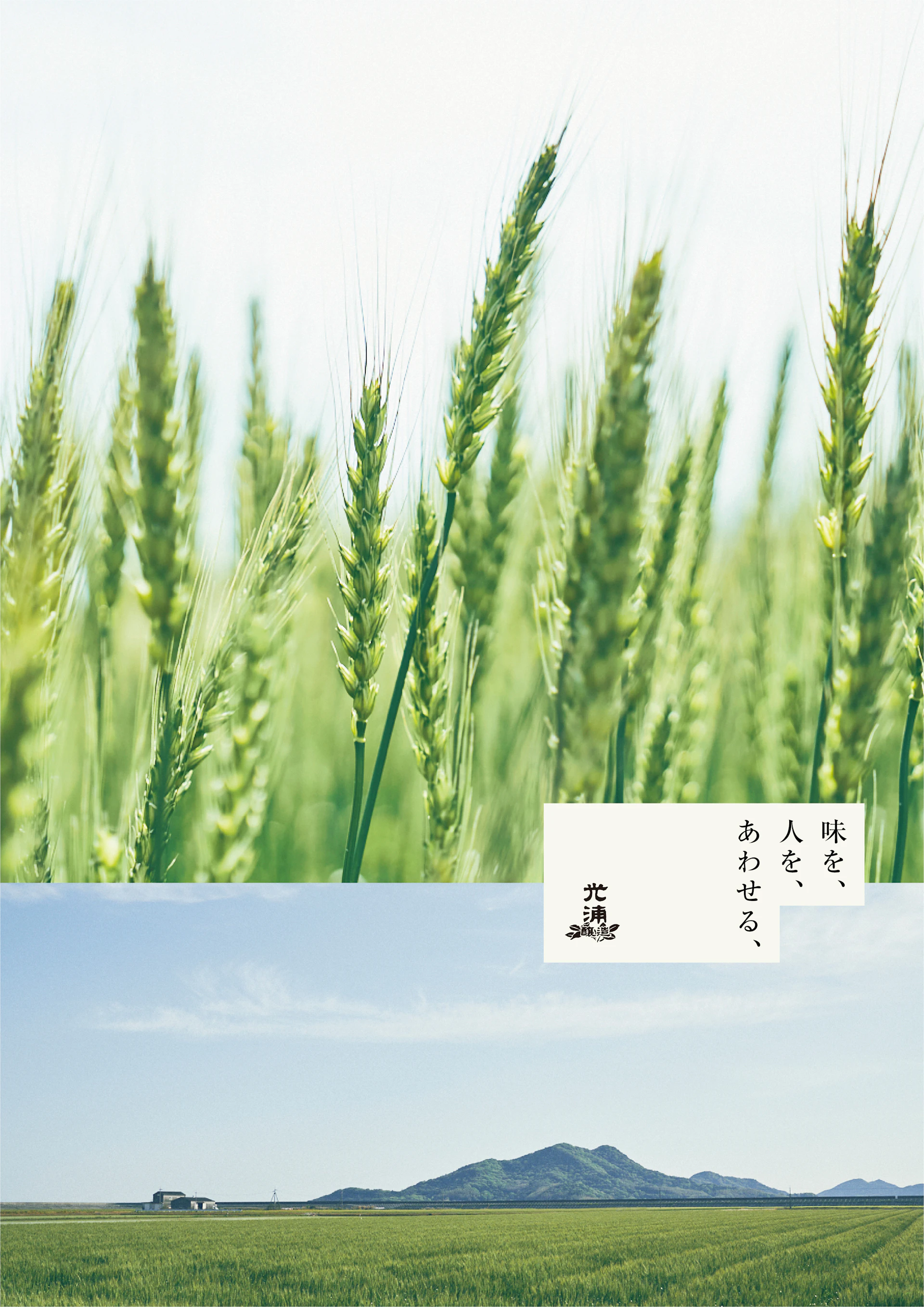 光浦醸造工業
