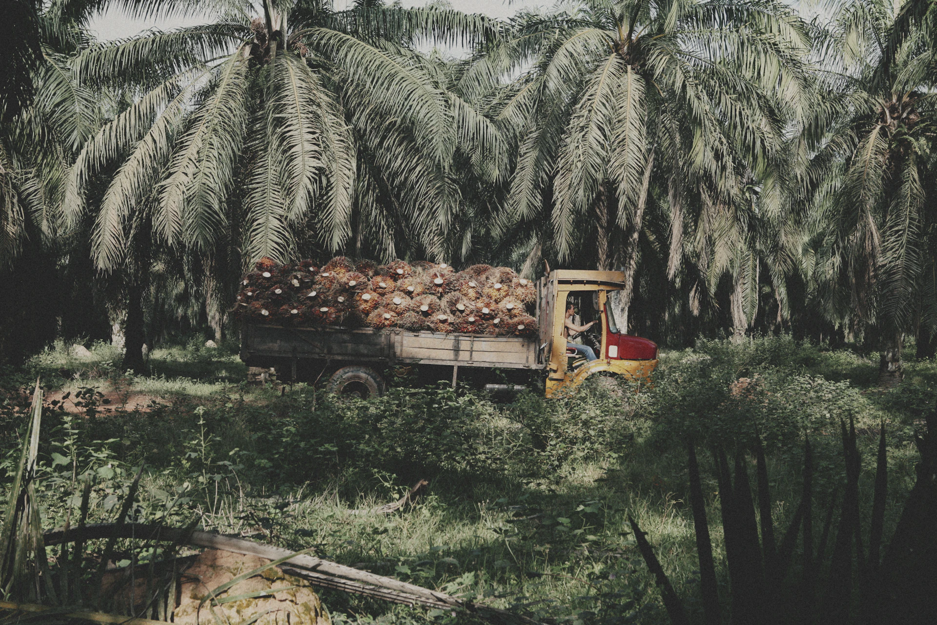 Malaysia