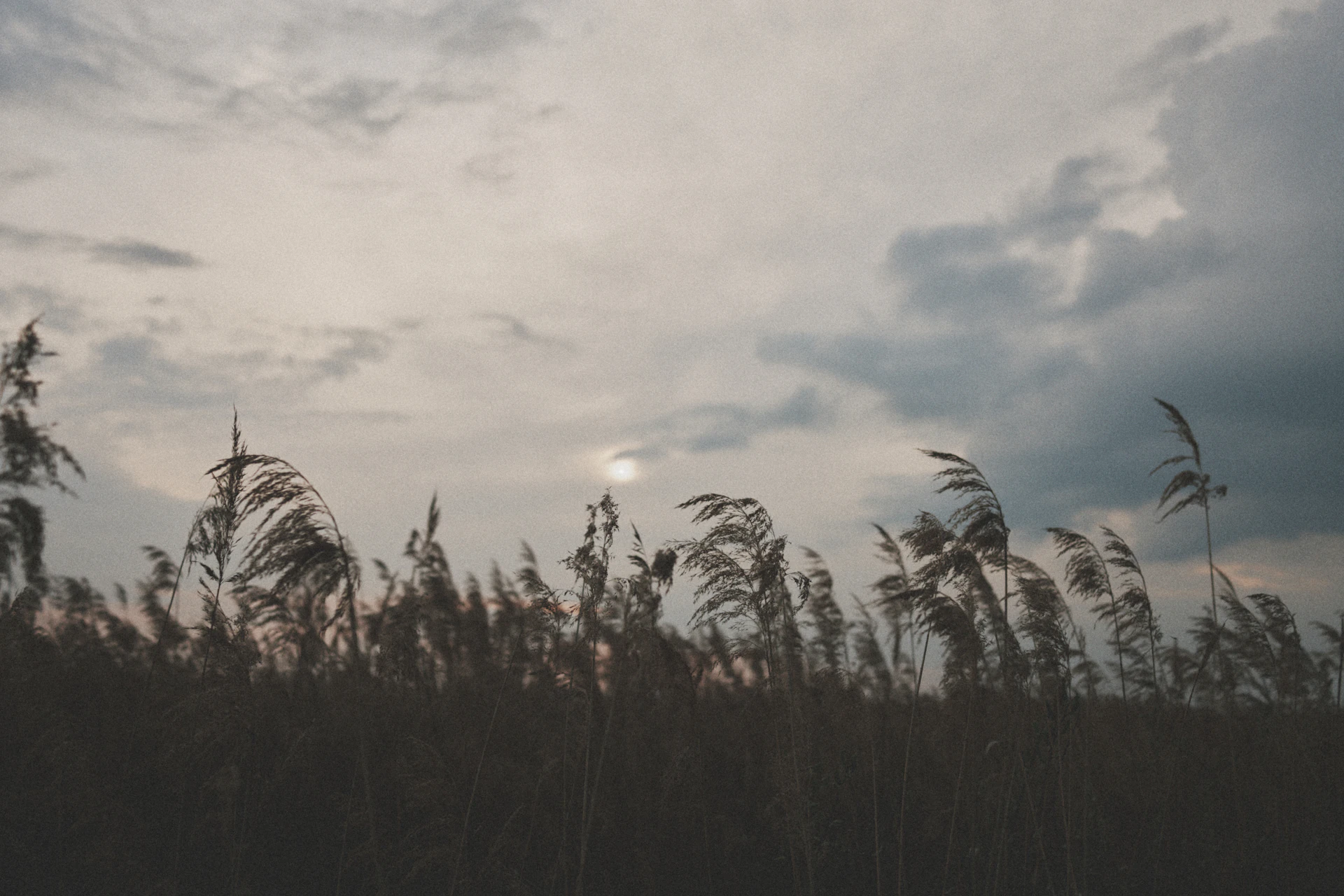 Sony RX1MKⅢ