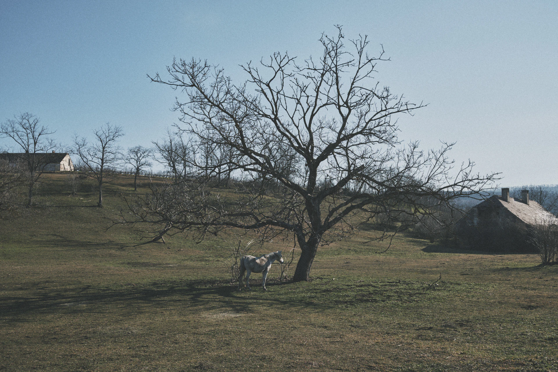 Sony RX1MKⅢ