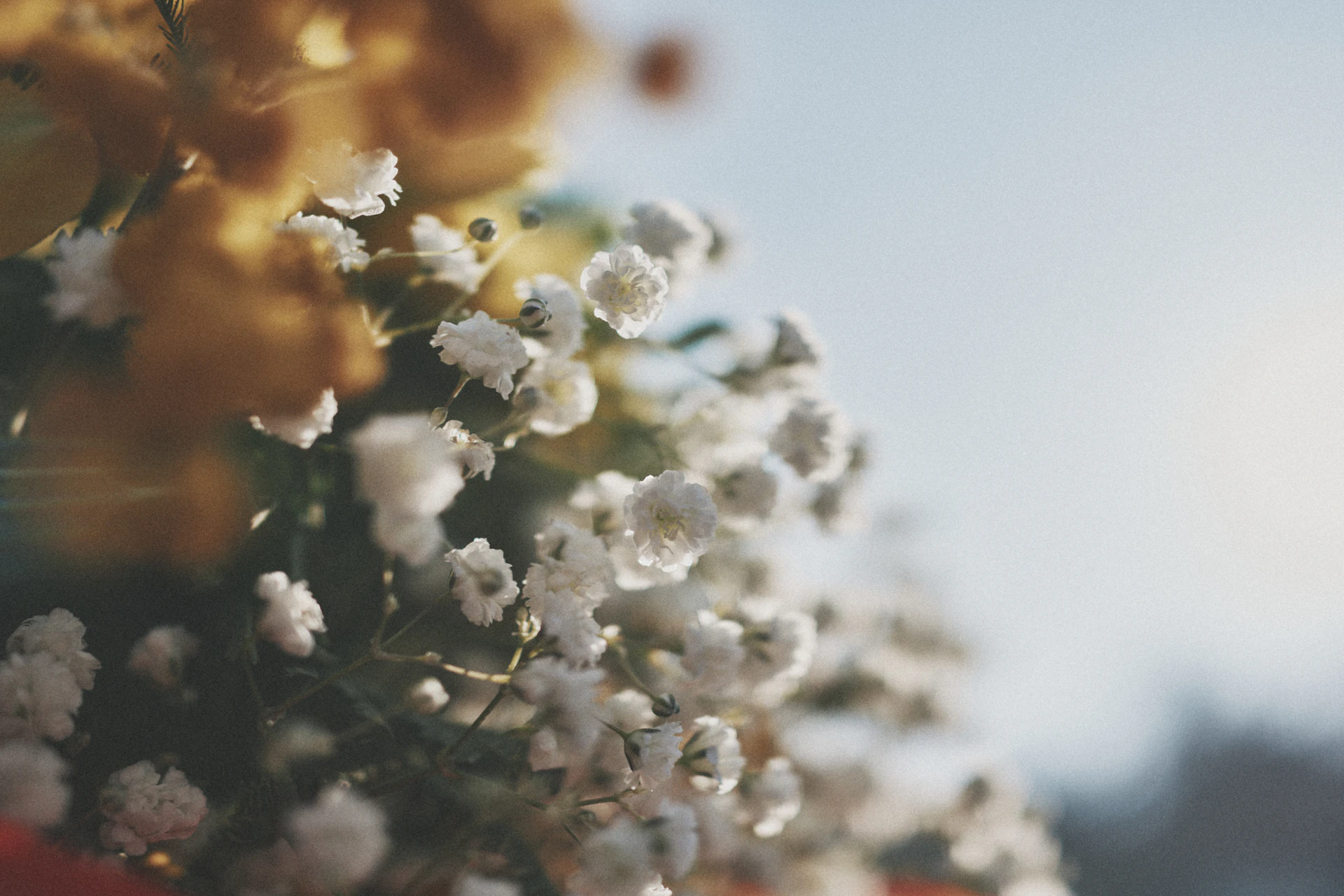 Sony RX1MKⅢ