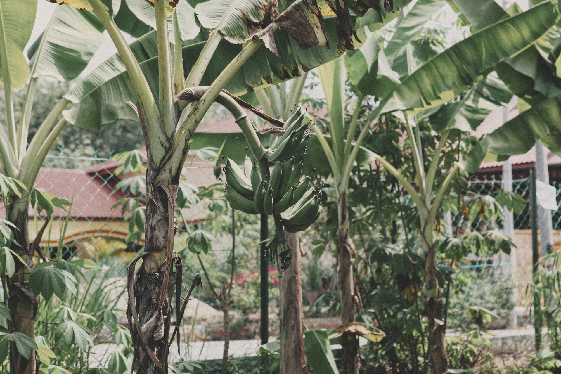 Malaysia