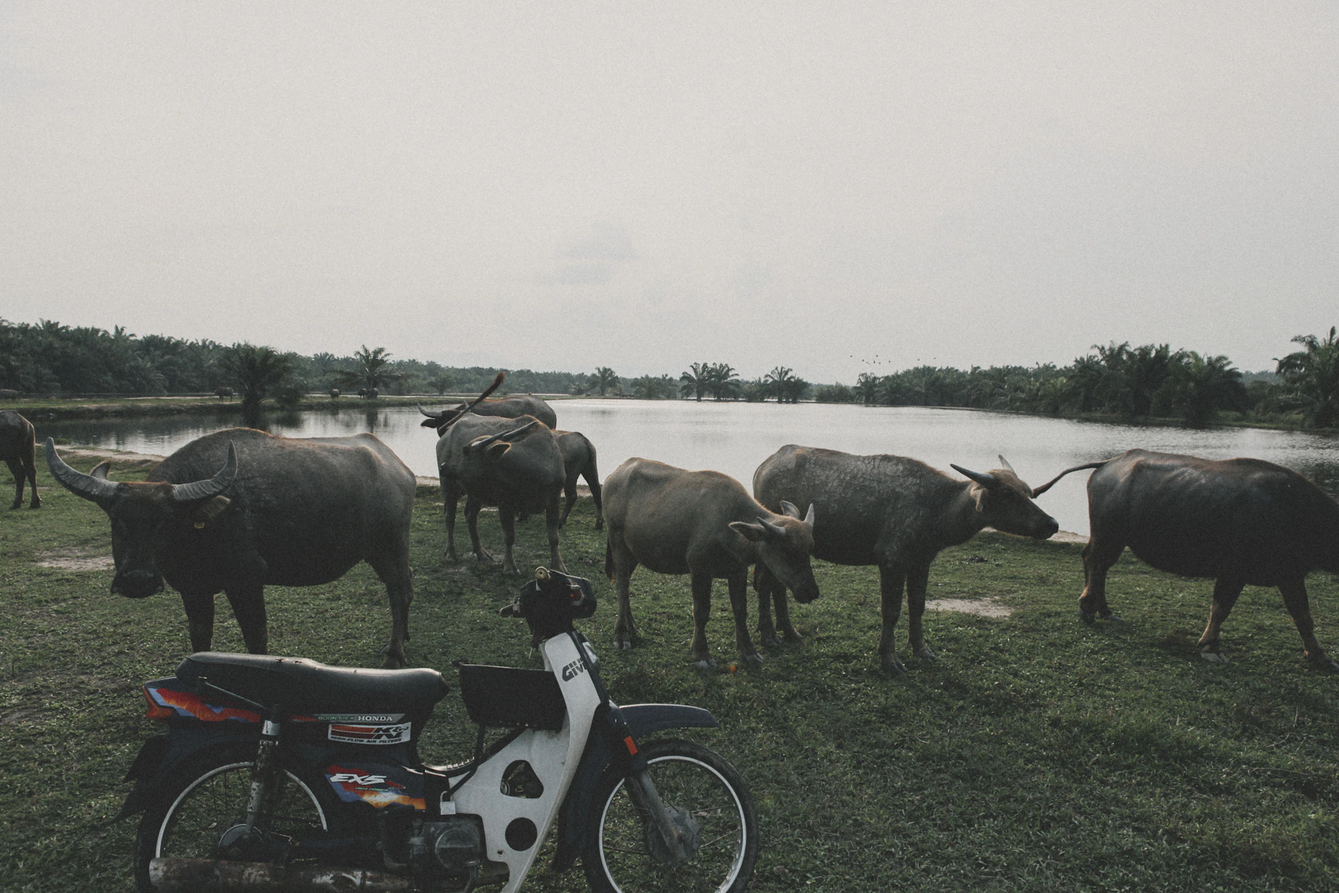 Malaysia