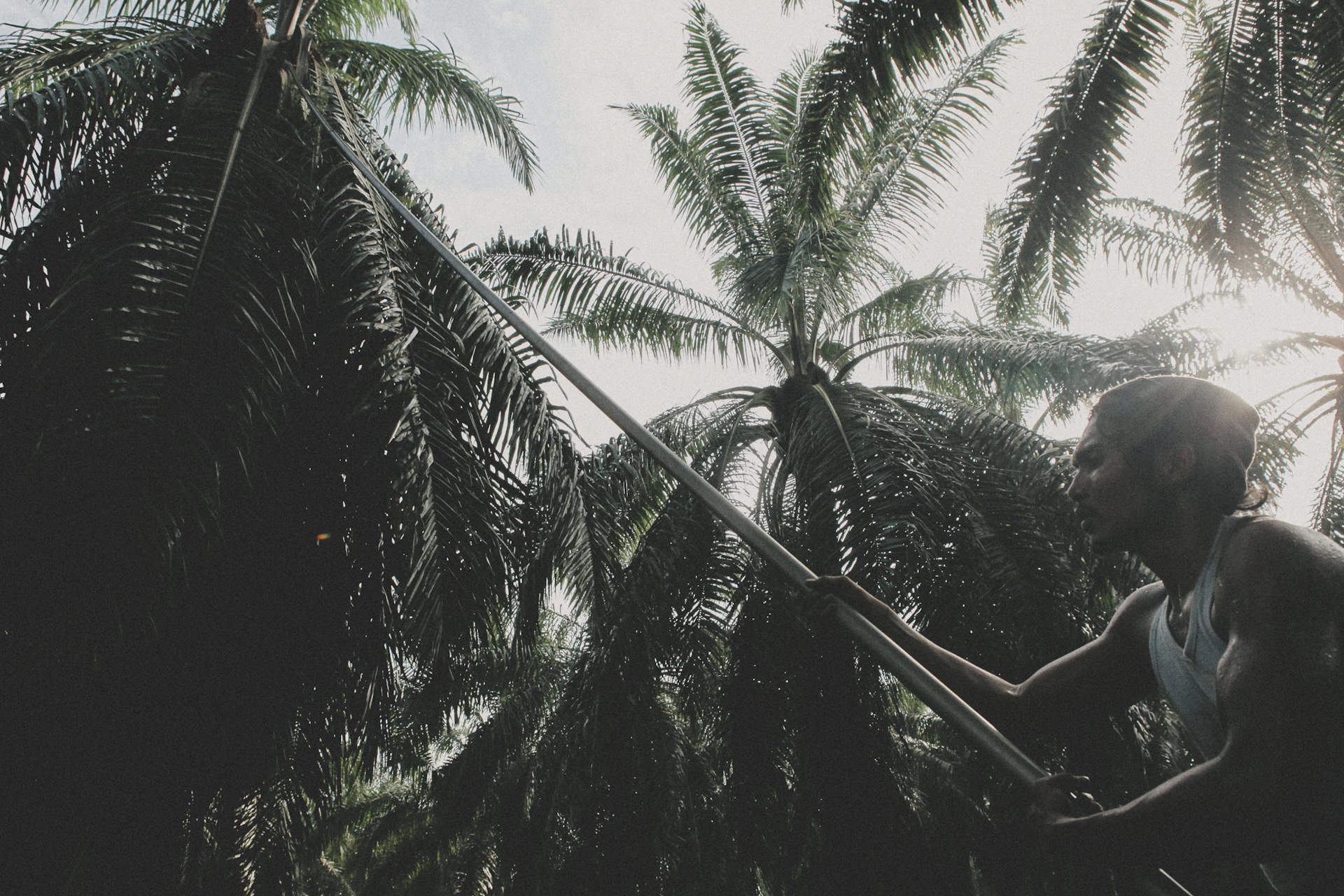 Malaysia