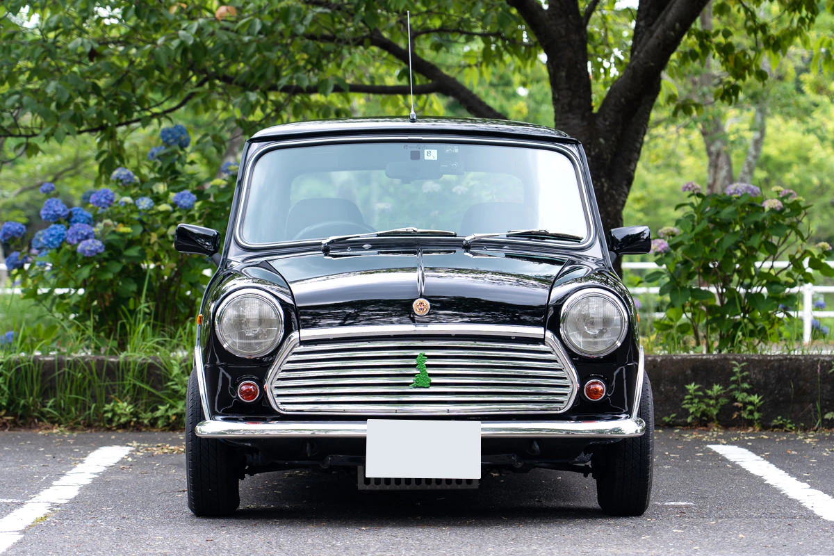 Rover Mini Paul Smith Limited Edition Fenderless