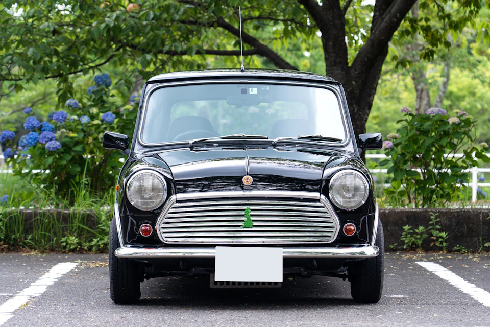 Rover Mini Paul Smith Limited Edition Fenderless