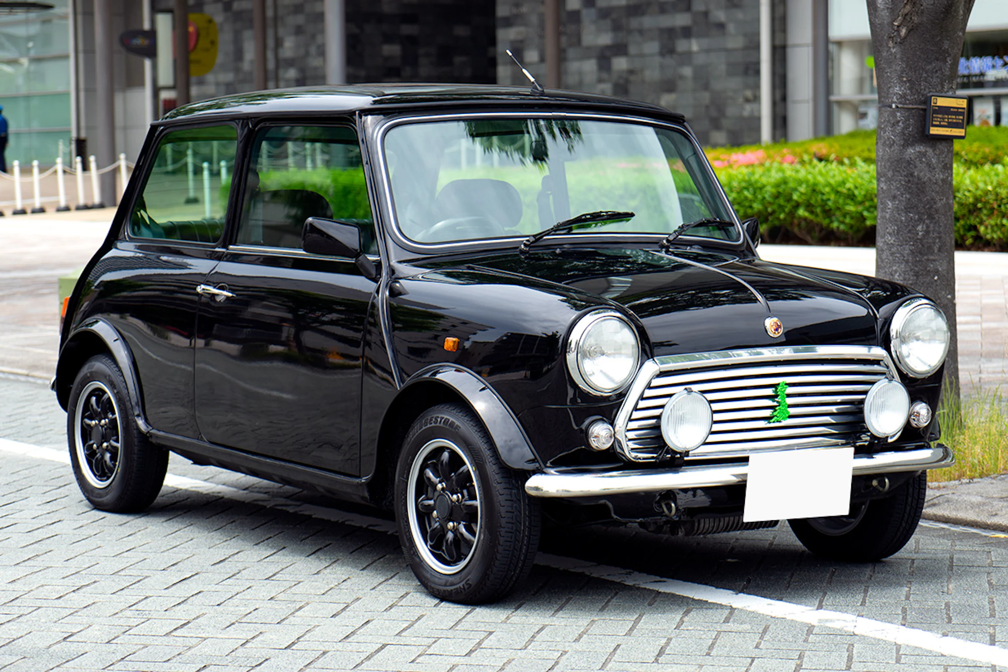 rover mini paul smith