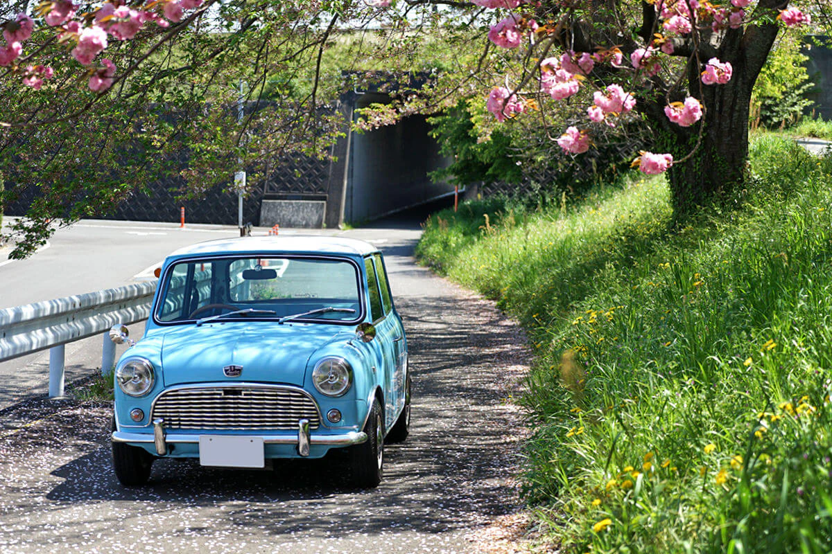 Cab Cooper Austin Seven Specifications