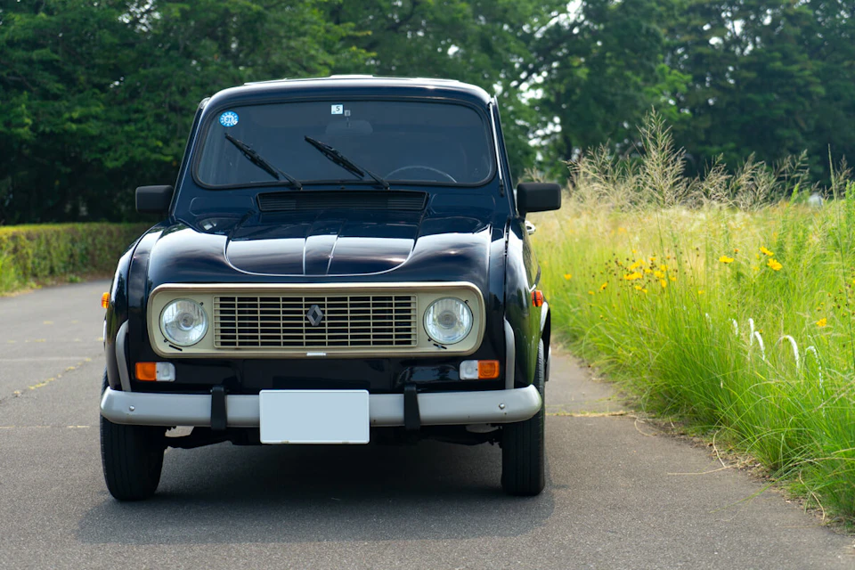renault 4 gtl