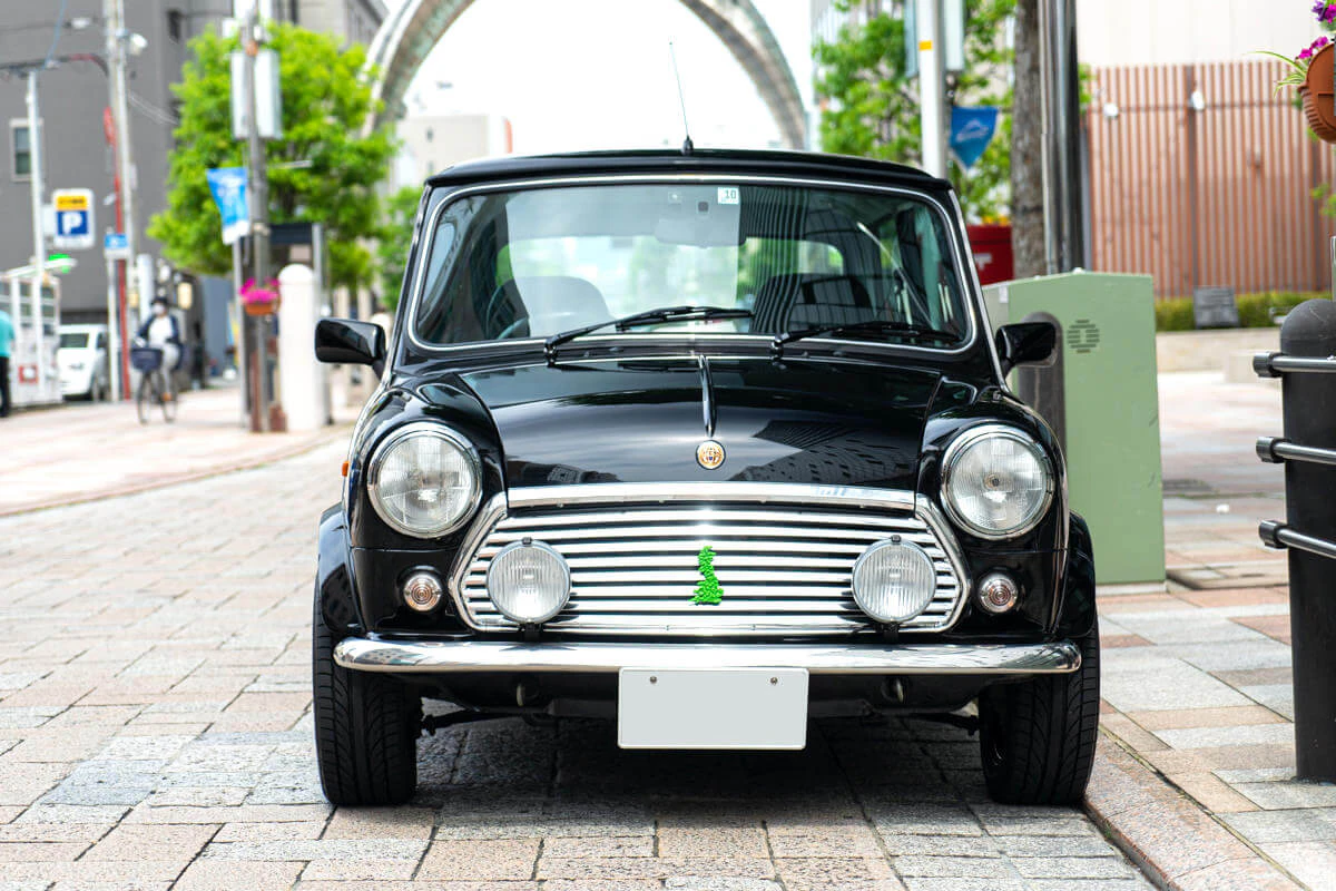rover mini paul smith