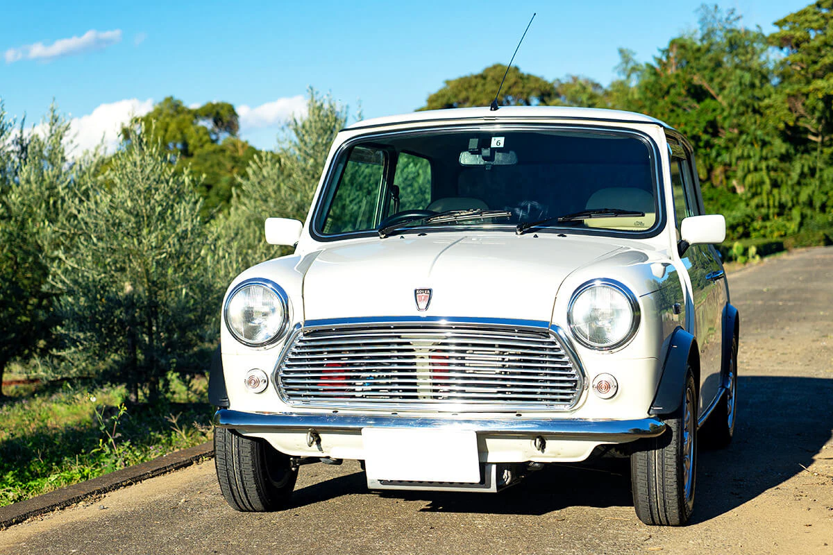 rover mini mayfair