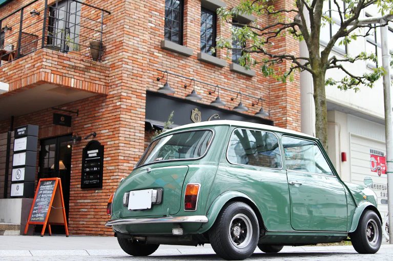rover mini 1000 MT