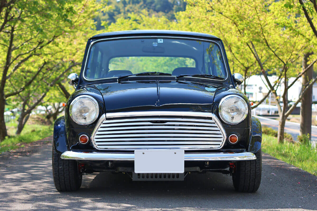 rover mini cooper 1.3 carburetor
