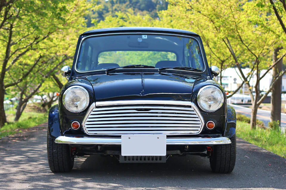 rover mini cooper 1.3 carburetor