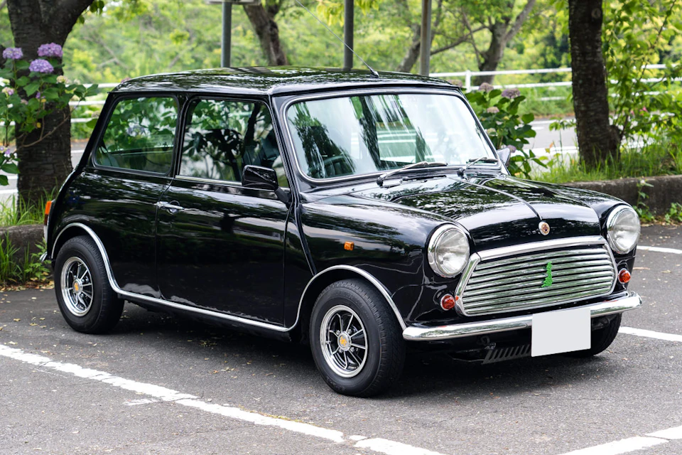 Rover Mini Paul Smith Limited Edition Fenderless