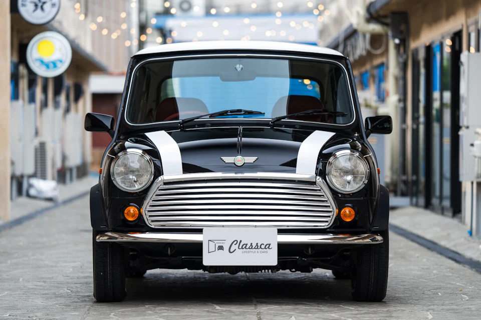 Rover Mini Monte Carlo