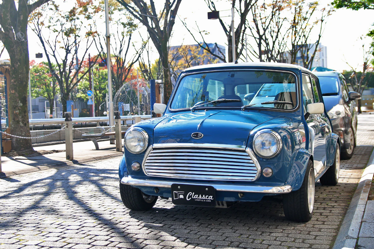 Rover Mini Cooper 1.3i custom specification