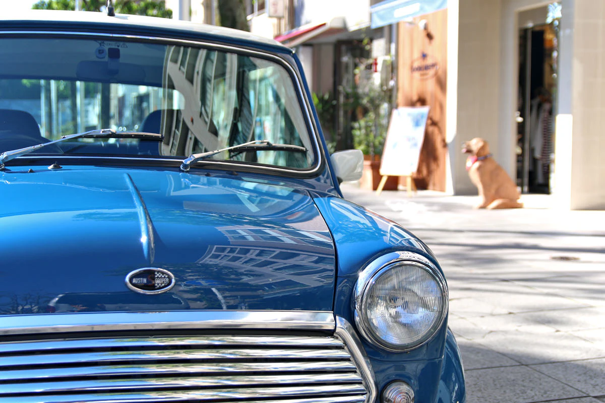 Rover Mini Cooper 1.3i custom specification