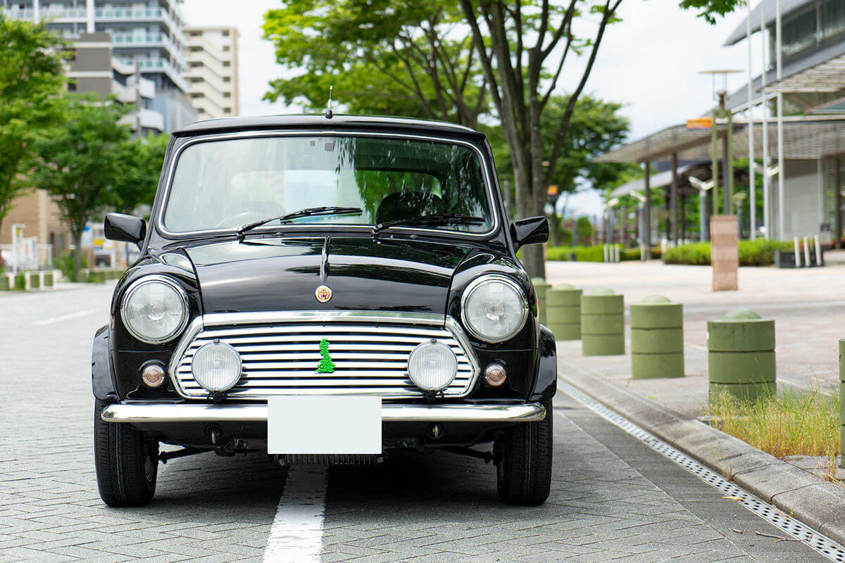 rover mini paul smith